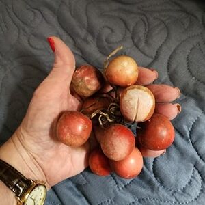 9 Beautiful Wood Radishes